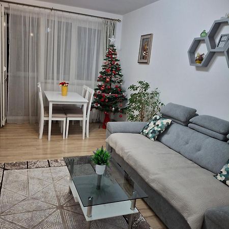 Apartament Ultra Central Marly 구라후모룰루이 외부 사진